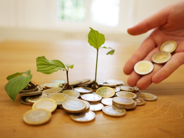 De Kracht van Diversificatie: Spreid je Risico’s